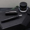 Platinum Izumo Shikoku Tiger in The Bamboo Forest Fountain Pen